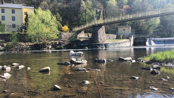 Die Bella schwimmt durch den großen Fluß mit dem komischen Namen