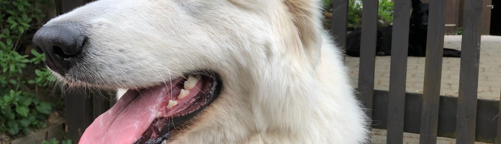 Wir sind nämlich jetzt Freundinnen