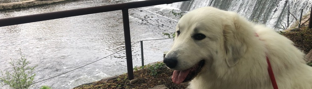 Und die Bella am großen Fluß mit dem komischen Namen