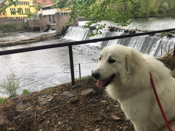 Und die Bella am großen Fluß mit dem komischen Namen