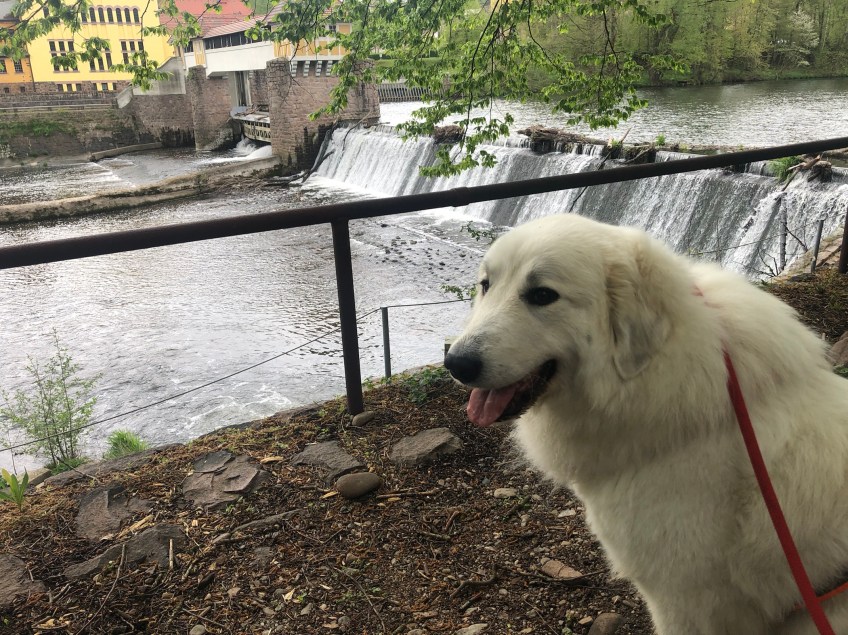 Und die Bella am großen Fluß mit dem komischen Namen