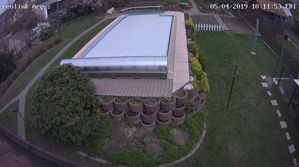 Die Bella ganz alleine zu Hause