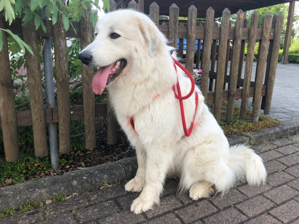 444D1EB4-DBBD-40A4-B262-EB16EDA9A4DF