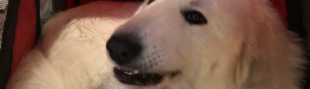 Gute Nacht! Ich knabber noch was und dann schlummer ich!