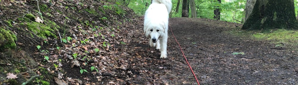 Es geht los! Sonntagsspaziergang!