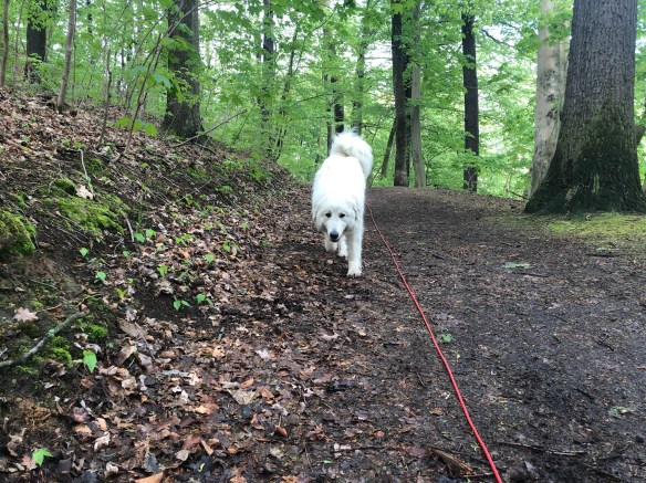 Es geht los! Sonntagsspaziergang!