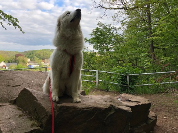 Ich bin ein Monument! Auf einem riesigen Felsen!