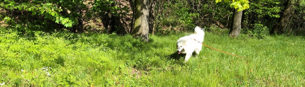 Auf der großen Wiese am großen Fluß mit dem komischen Namen