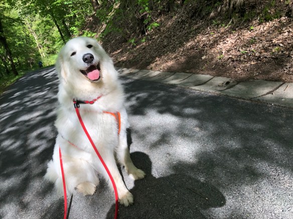 Hahahaha, ich mache Pause …