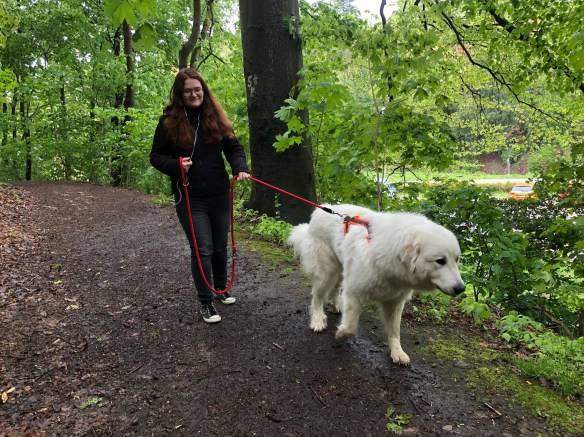 Die Bella geht mit ihrer großen Menschenschwester spazieren