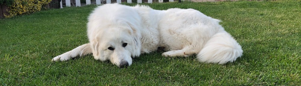 Gute Nacht! Ich schlaf schon