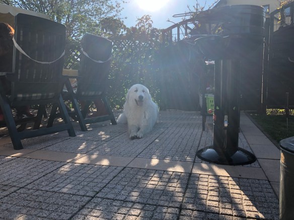 Abends auf meiner Terrasse