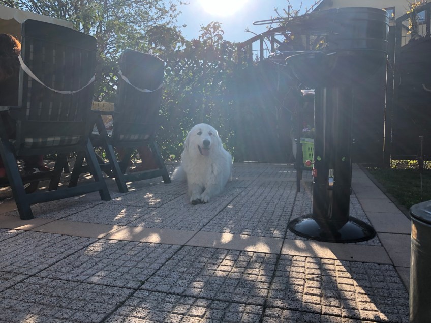 Abends auf meiner Terrasse