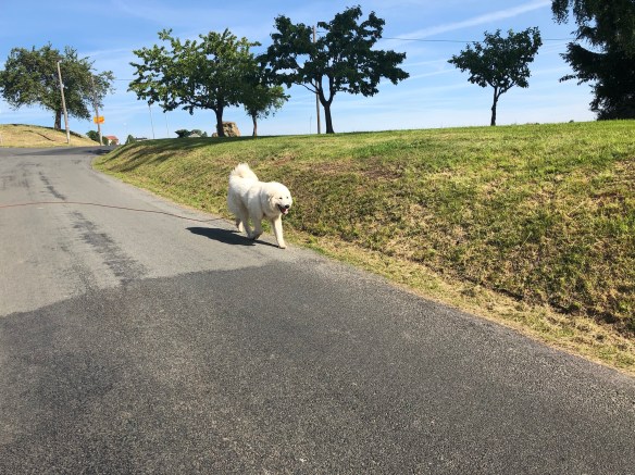 Großer Sonntagsspaziergang