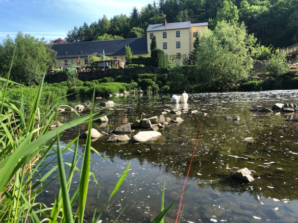 Die Bella badet an der Wackelbrücke