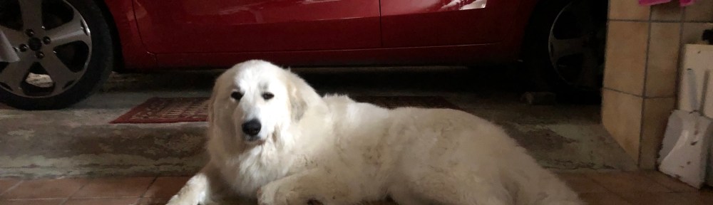 Ich bin eine gute Wächterin!