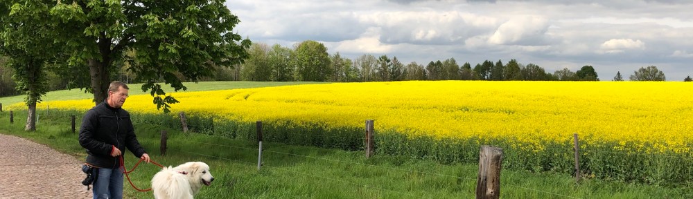 Los geht‘s! Ich zeige euch meine Wanderstrecke, kommt!