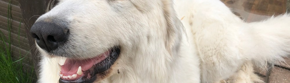 Haha, noch ist es trocken, haha