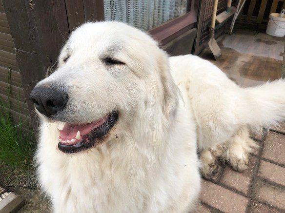 Haha, noch ist es trocken, haha