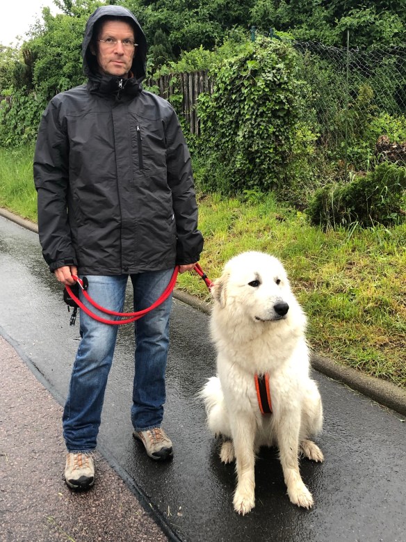 Die Bella und ihr großer Mensch im Regen