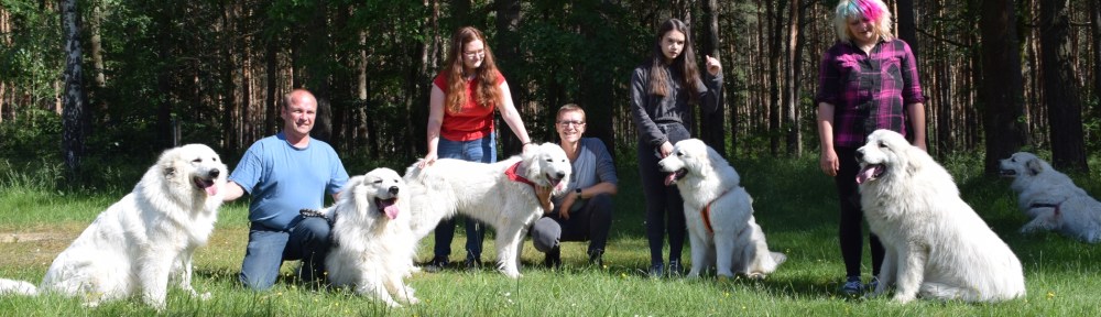 Fin, Ivy, Sissi, Bella und Pepe – die Pyris vom Ehrenberger Hof