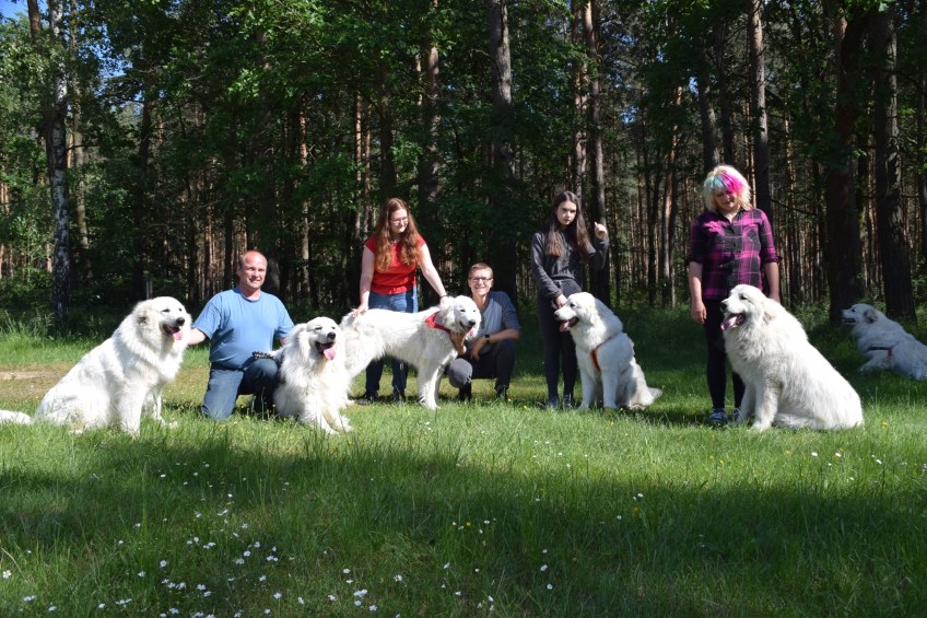 Fin, Ivy, Sissi, Bella und Pepe – die Pyris vom Ehrenberger Hof