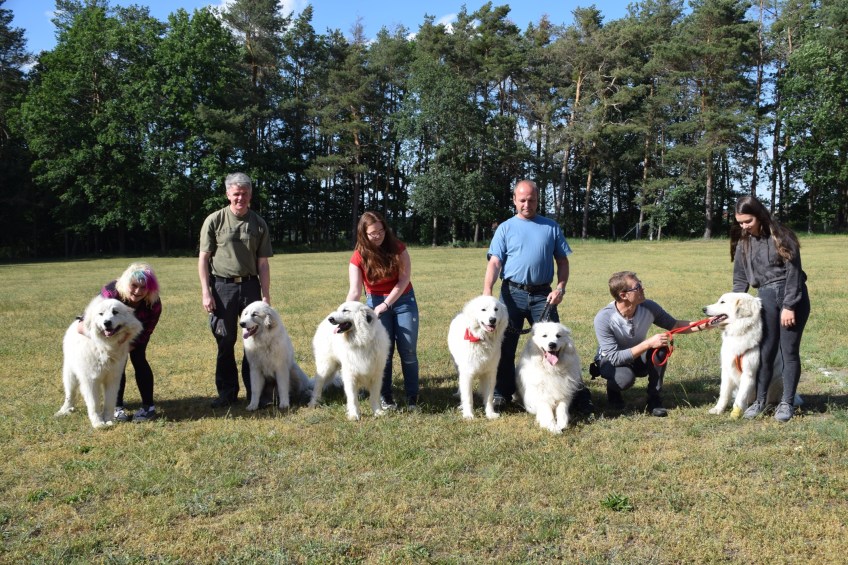 Pepe, Balko, Mami Ivy, Sissi, der riesige Fin und Bella