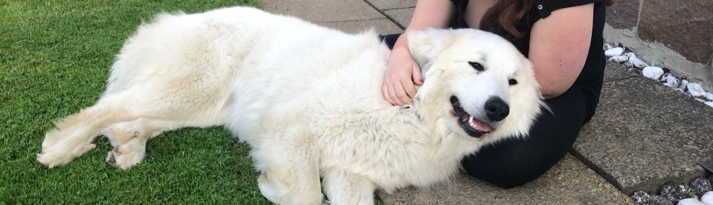 Die Bella kuschelt mit ihrer großen Menschenschwester in ihrem Garten