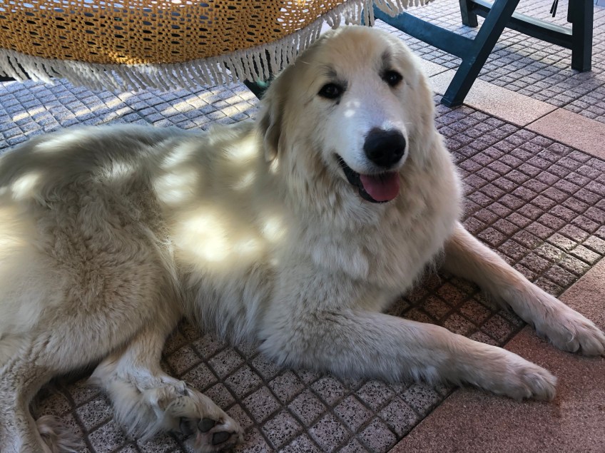 Und meine Menschen sind hier, da freue ich mich!