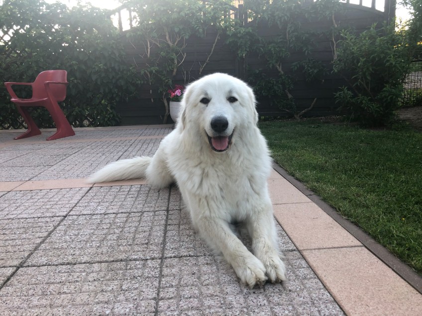 Ich will noch nicht rein!