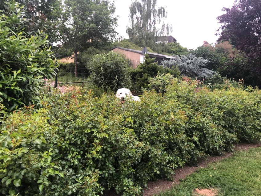 Hahaha, man sieht mich kaum!