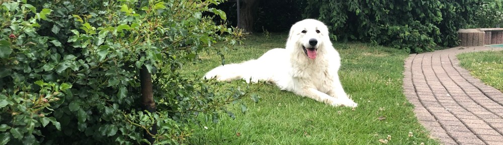 Gleich geht es rein zum Schlummern