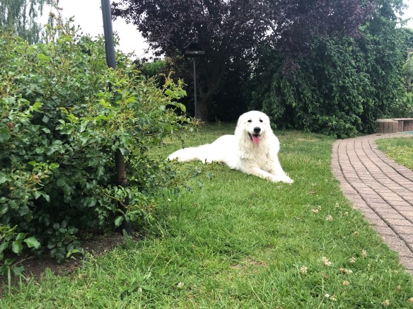 Gleich geht es rein zum Schlummern