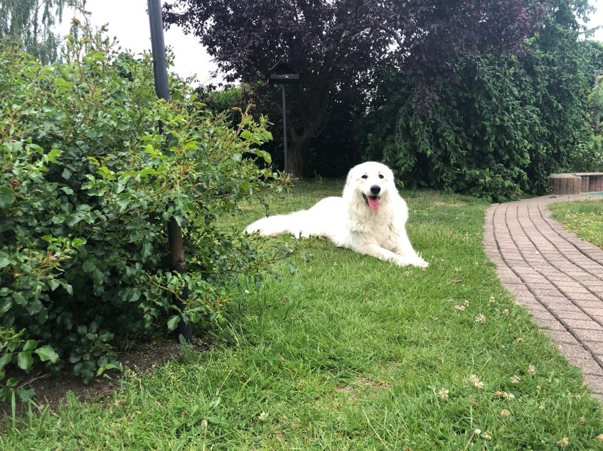 Gleich geht es rein zum Schlummern