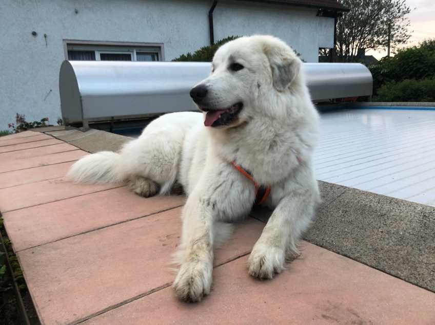 An meinem Pool ausruhen. Gleich geht es in meine Kellerwohnung