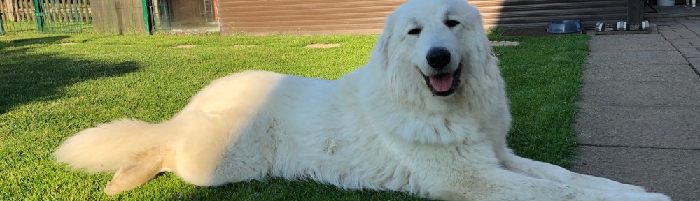 Die Bella in ihrem Garten