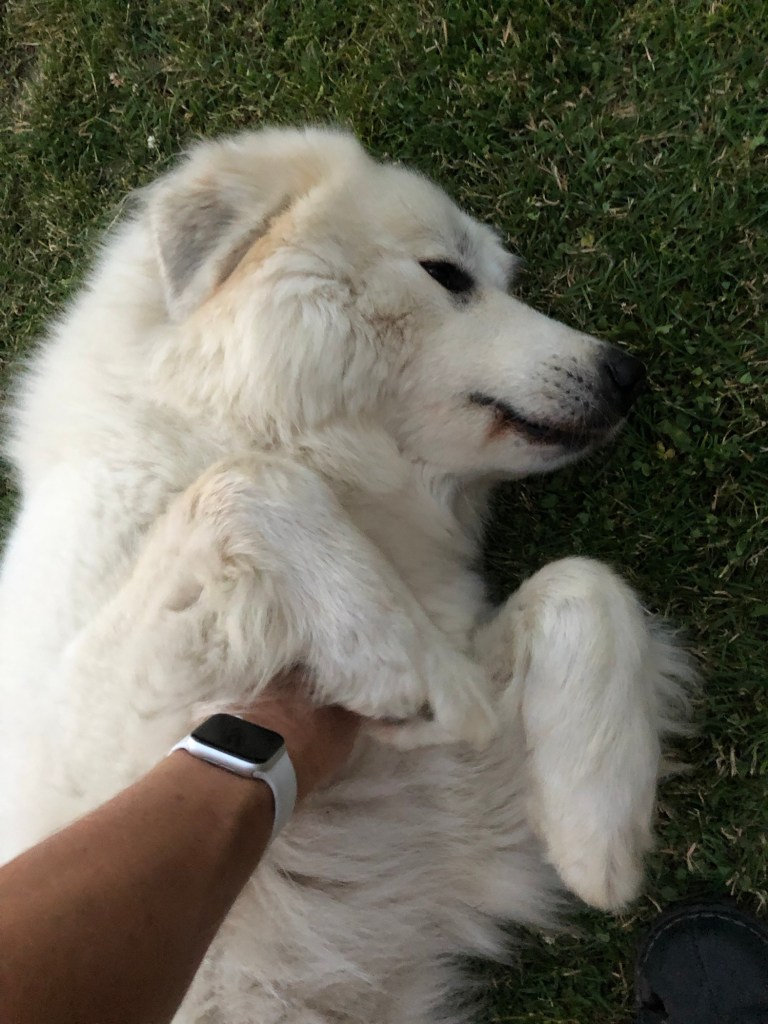 Aber wir haben uns trotzdem lieb …