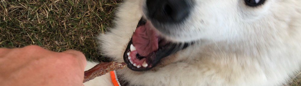 Wer kann so schön gucken wie ich?