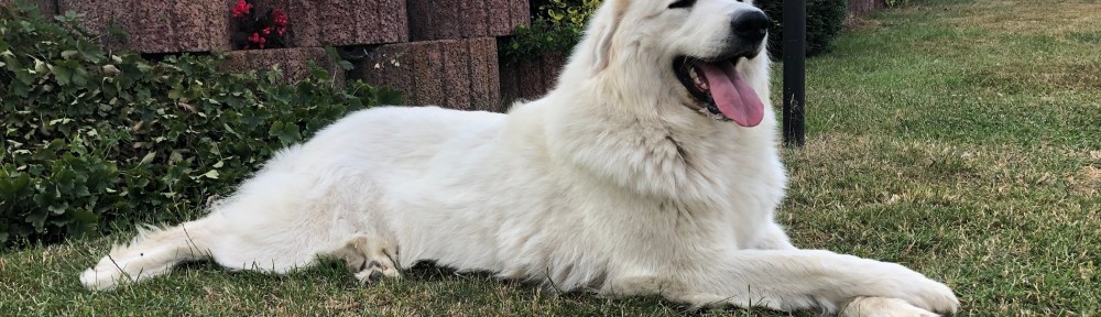 … ich bin die Bella!