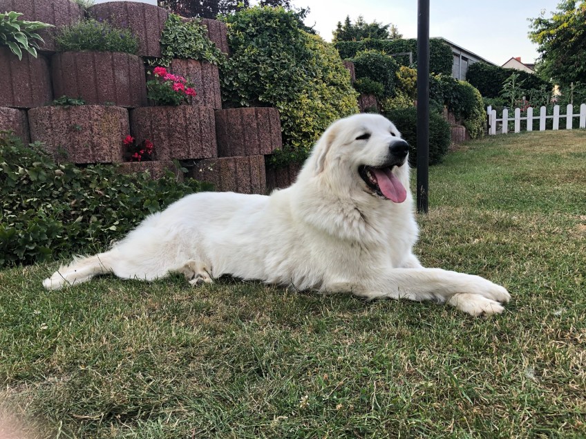 … ich bin die Bella!