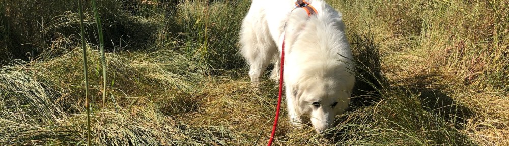 Wir starten zum Sonntagsspaziergang