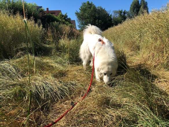 Wir starten zum Sonntagsspaziergang