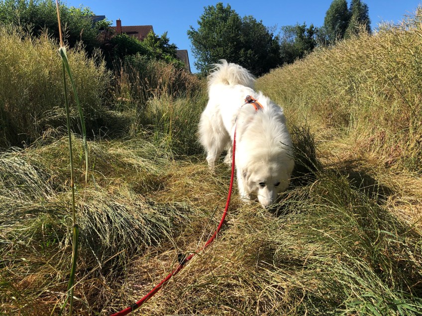 Wir starten zum Sonntagsspaziergang