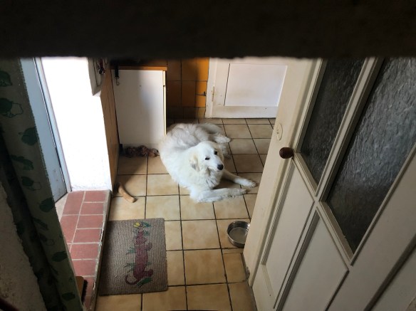 In meiner Kellerwohnung