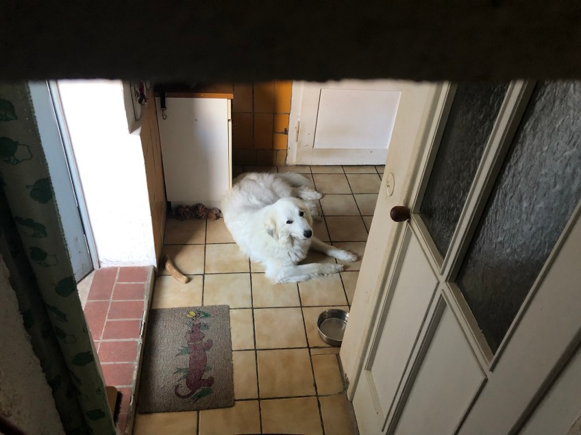 In meiner Kellerwohnung