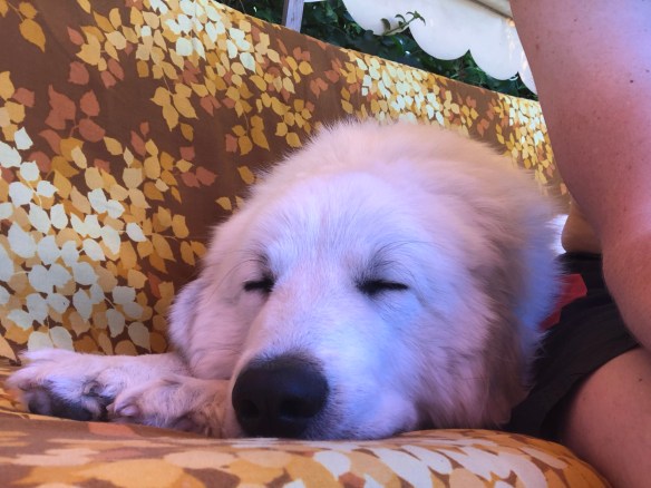 Auf meiner Hollywoodschaukel