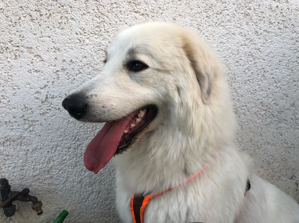 Gleich gehe ich in meine Kellerwohnung zum Schlummern