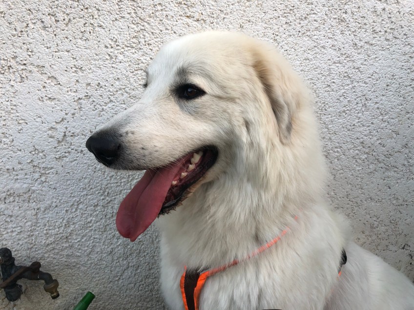 Gleich gehe ich in meine Kellerwohnung zum Schlummern