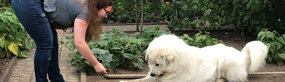 Früh in meinem Garten