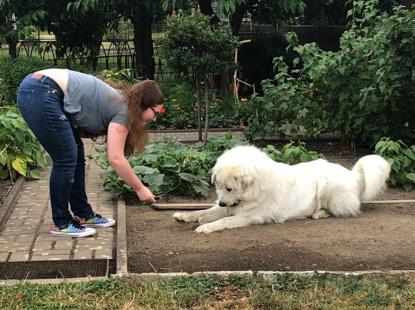 Früh in meinem Garten
